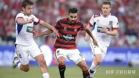 南美解放者杯32强名单揭晓：河床、帕尔梅拉斯、弗拉门戈等强队领跑